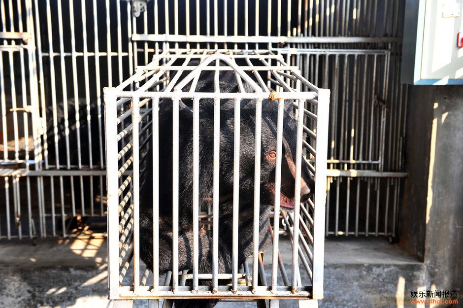 ����ȡ���ܺ�������ͼƬ